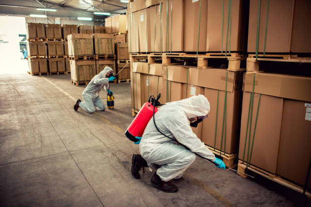 Best Wasp Removal Services  in Guthrie, OK