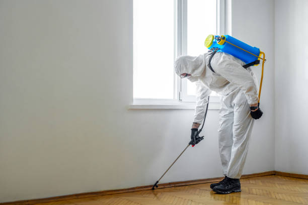 Best Bed Bug Extermination  in Guthrie, OK