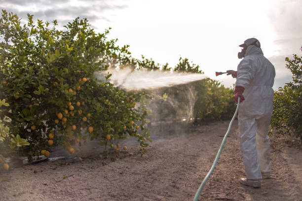 Best Cockroach Control Services  in Guthrie, OK