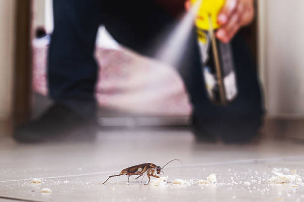Best Pest Prevention Services  in Guthrie, OK